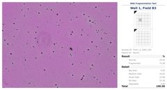 Well 1 field B3